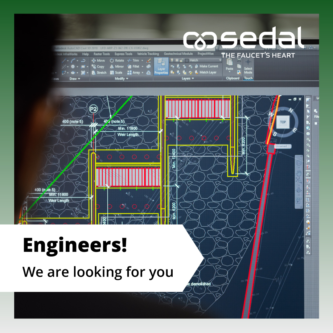 Sedal is looking for the best product engineer